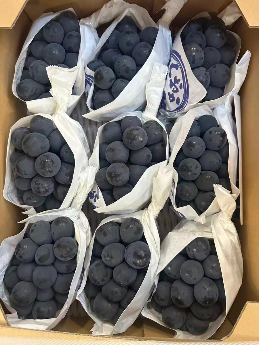 福冈ピオーネ葡萄 Fukuoka Pione Grapes