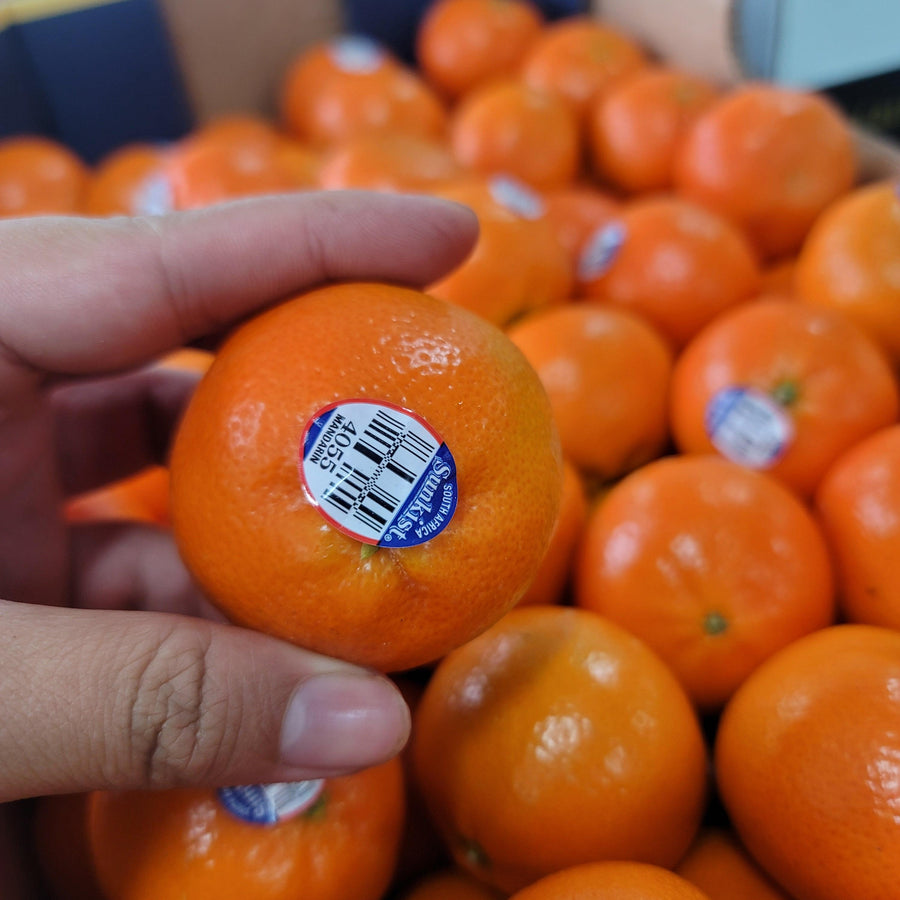 🎪 SC Fair – Mini Tangerines