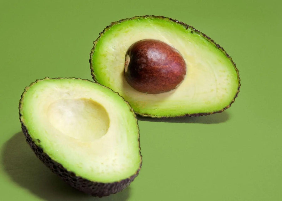 🎪 SC Fair – Avocado