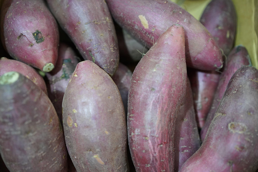 🎪 SC Fair – Sweet Potato