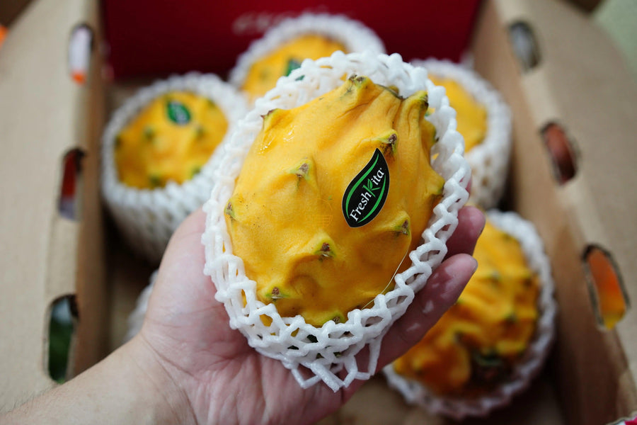 🎪 SC Fair – Ecuador Yellow Dragonfruit