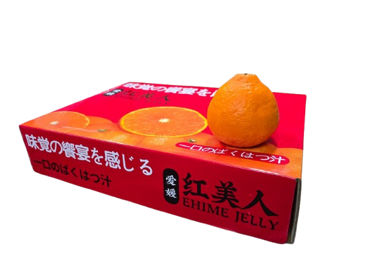 Pre-order: Ehime Jelly Mandarin Orange 红çžäşş