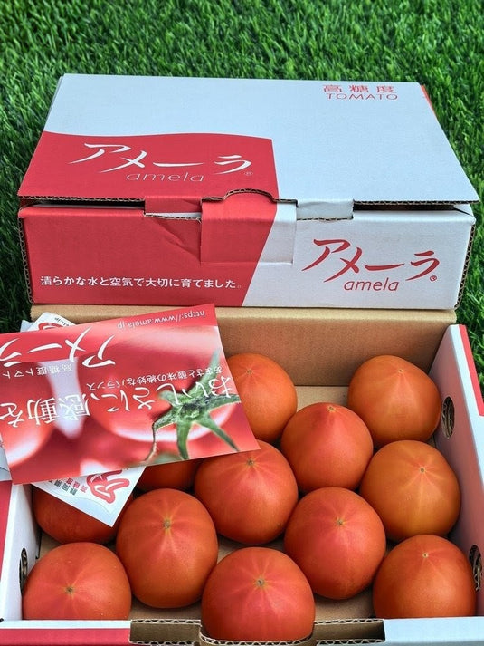 Amela Japanese premium high-sugar tomato 1kg Singapore | Heng Fruits