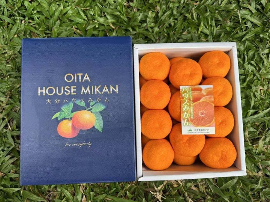 大分蜜柑礼盒 Oita Mikan Gift Box