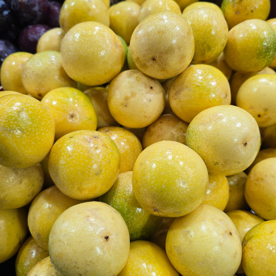 Golden Rose Passionfruit