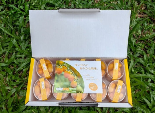 静岈小黄番茄 Shizuoka Mini Yellow Amela Tomato 70g x 10 | Premium Japanese Tomato from Shizuoka | Heng Fruits Singapore