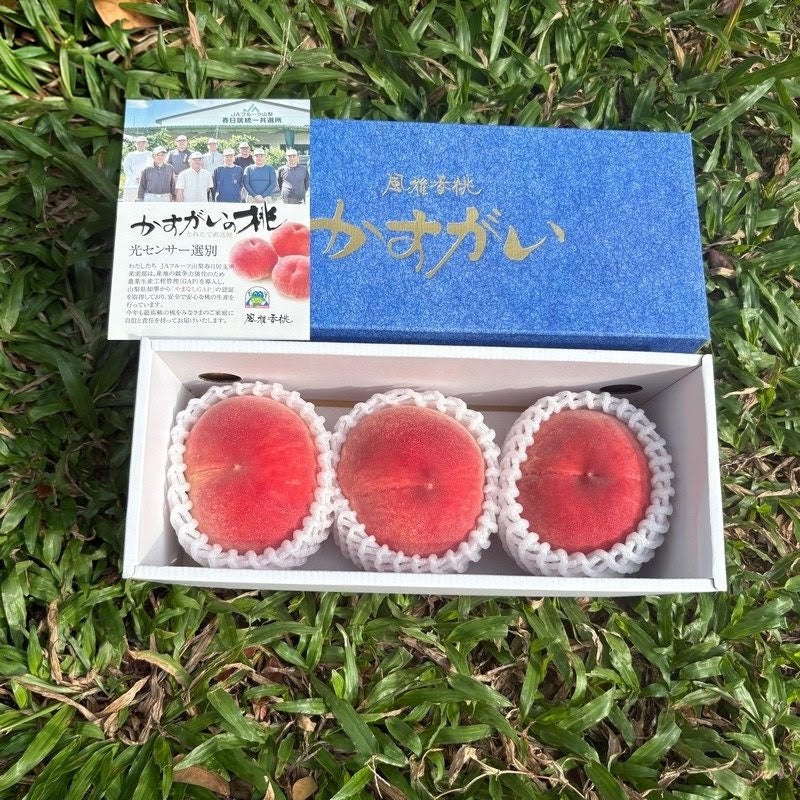 山梨春日居 风雅香桃礼盒 Yamanashi Kasugai Fuga Peach Gift Box