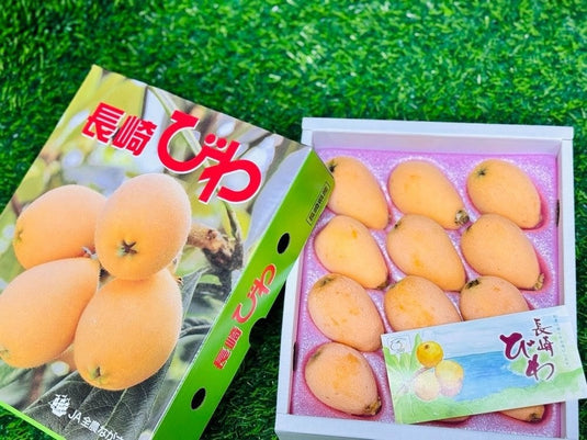 千叶大房枇杷礼盒 Chiba Obussa Biwa Loquat Gift Box 1kg 秀 2L | Premium Japanese Loquat from Chiba | Heng Fruits Singapore
