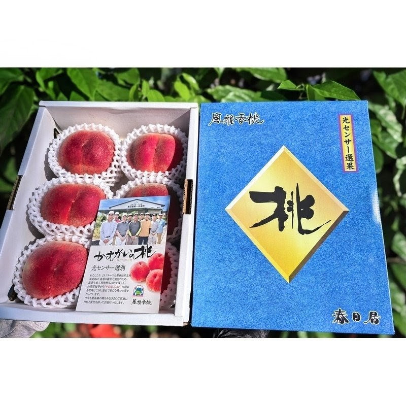 山梨春日居桃 日川白鳳 Yamanashi Kasugai Hikawa Hakuhou Peach