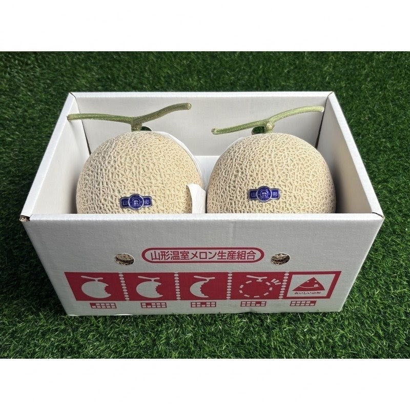 山形青肉蜜瓜 Yamagata Green Melon