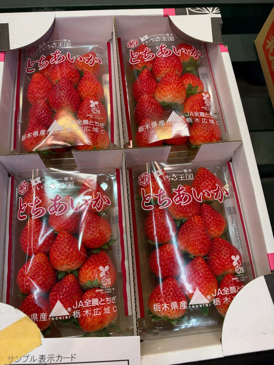 栃木爱香草莓 Tochigi Tochiaika Strawberry