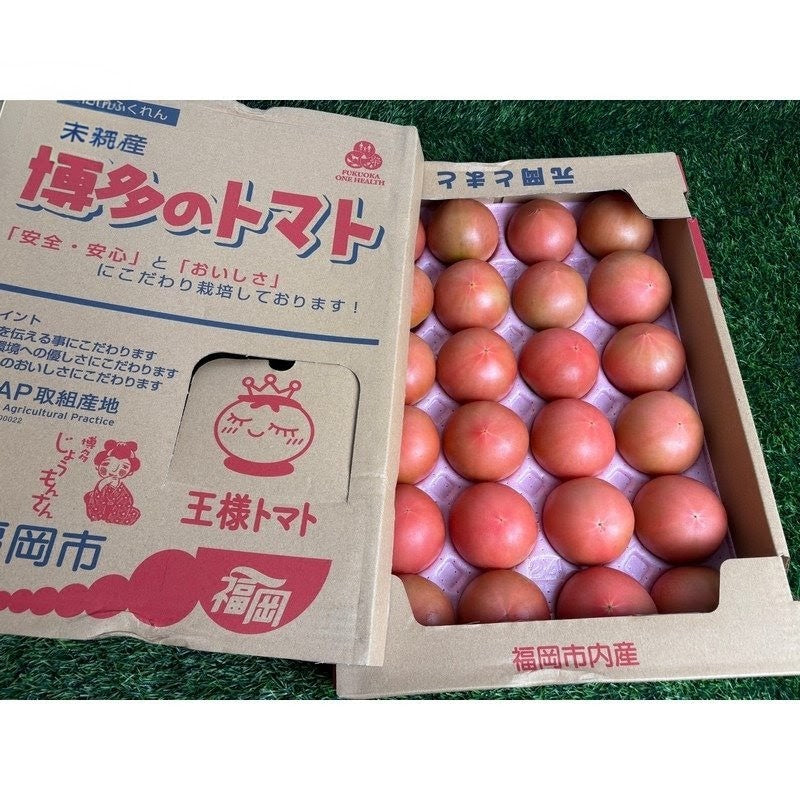 福冈元冈水果番茄 Fukuoka Motooka Fruit Tomato