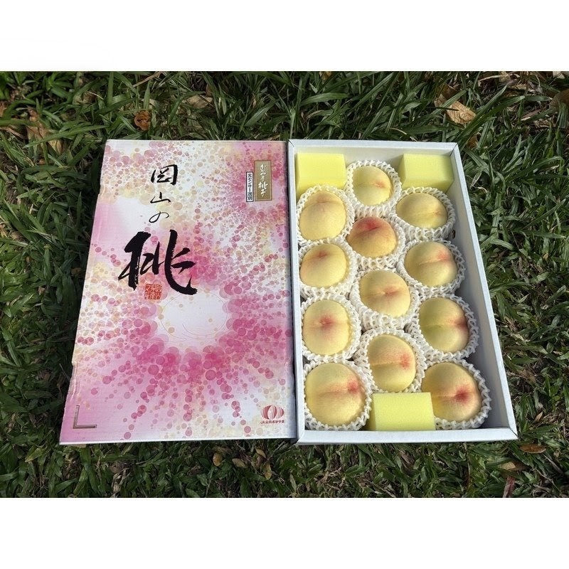 冈山清水白桃 Okayama Shimizu White Peach