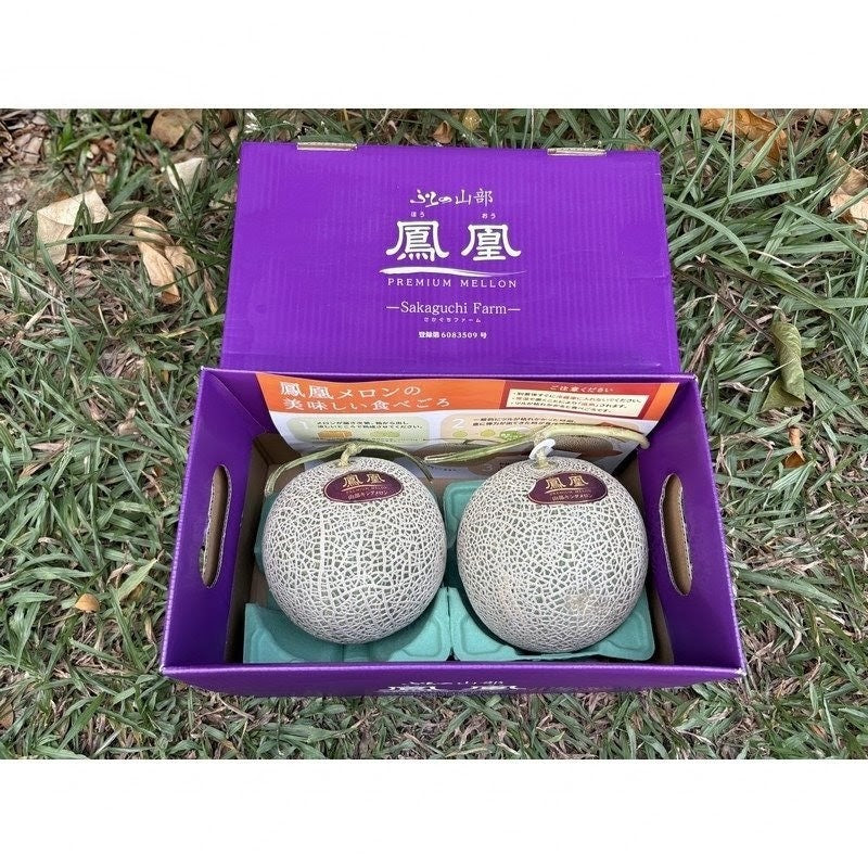 北海道富良野凤凰蜜瓜 Hokkaido Furano Phoenix Melon