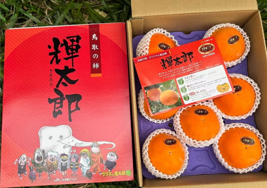 鸟取辉太郎柿 Tottori Kitaro Persimmon