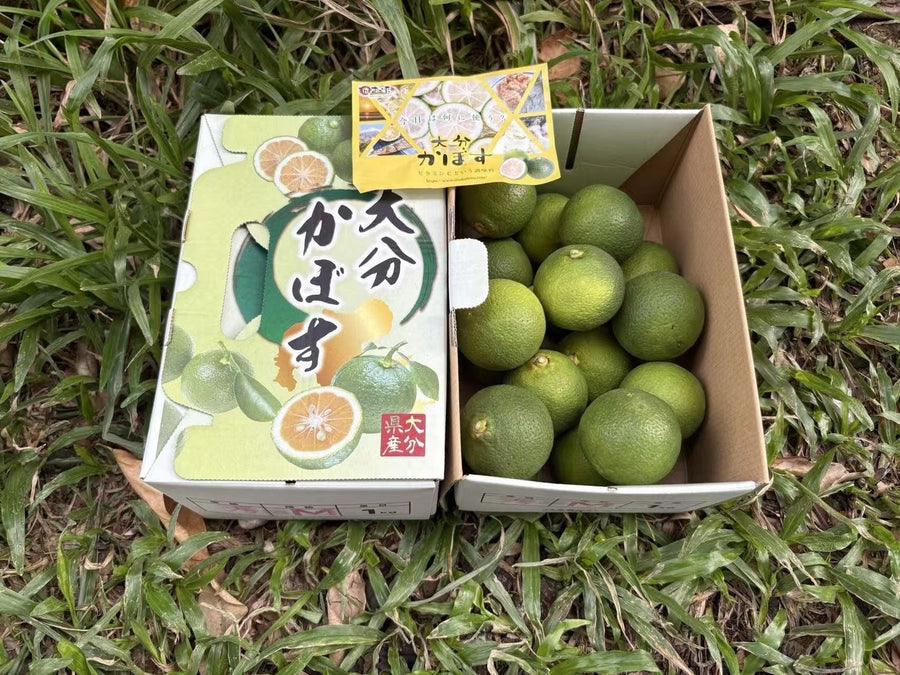 大分酸柚 Yuzu