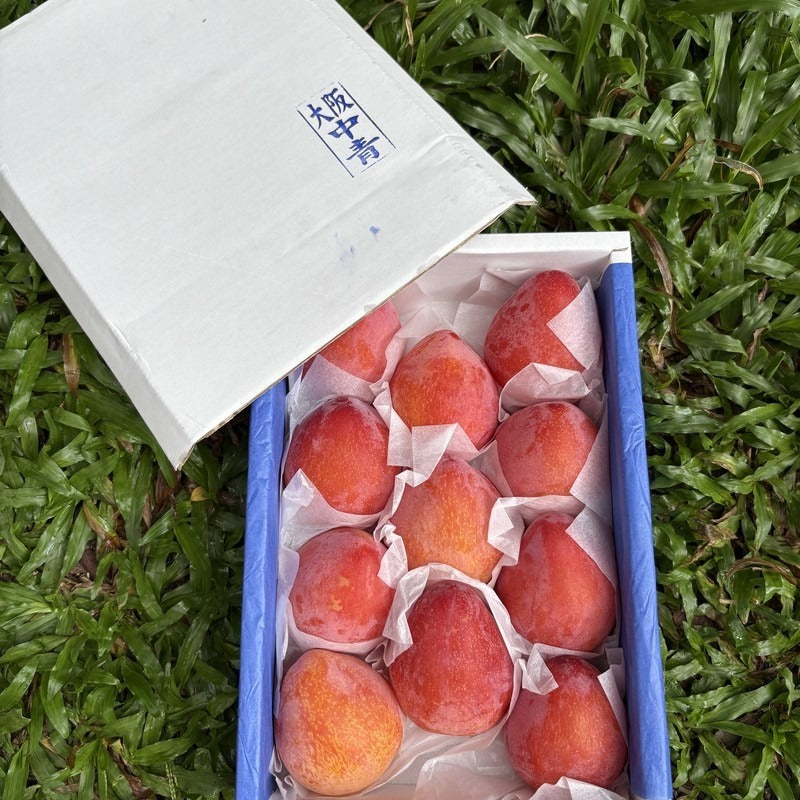山梨月光李 Yamanashi Gekou Plum (Moonlight Plum)