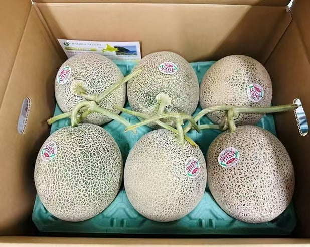 北海道雷电赤肉蜜瓜 Hokkaido Raiden Red Flesh Melon