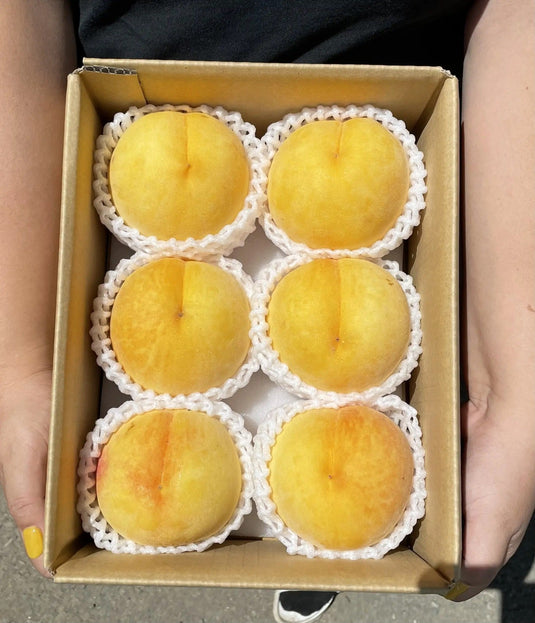 山梨黄金桃石和 Yamanashi Isawa Golden Peach (Ougon Momo) Heng Fruits