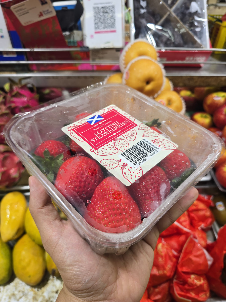 Scottish Strawberry 苏格兰草莓