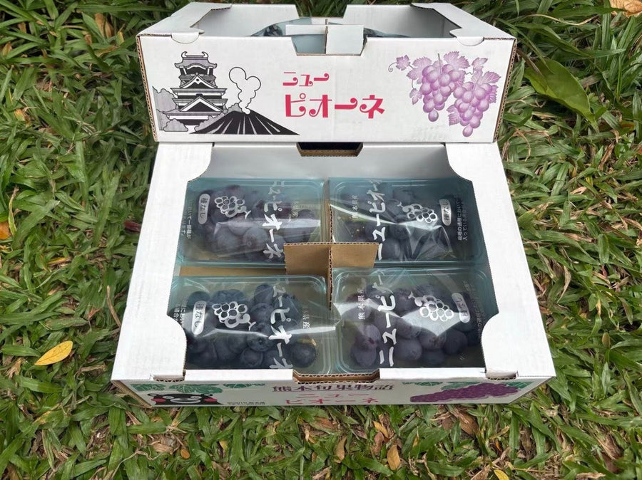 熊本種無猫眼Pione Kumamoto Seedless Pione Grapes
