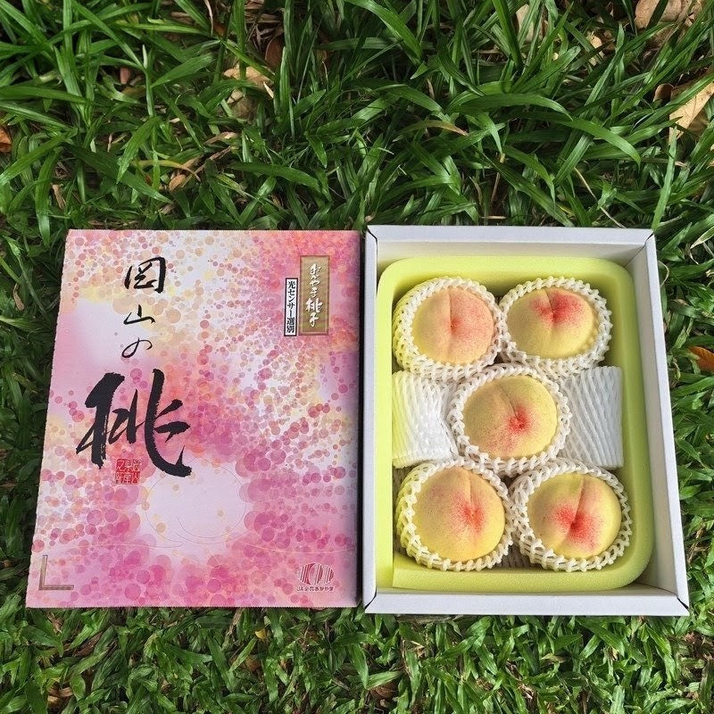 冈山浅原白桃 Okayama Asahara White Peach