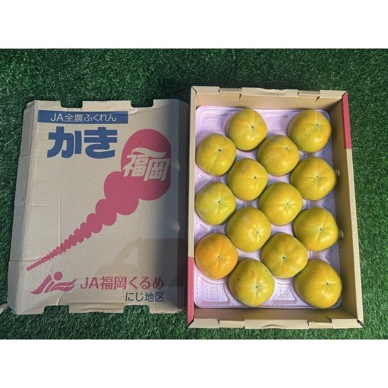 福冈太秋柿 Fukuoka Taishu Persimmon