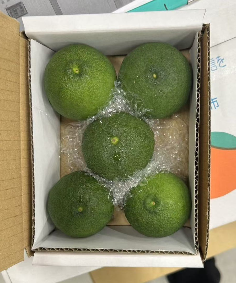 德岛柚子 Tokushima Yuzu