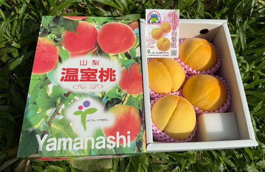 山梨温室黄金桃 Yamanashi Golden Momo (Golden Peach) Heng Fruits