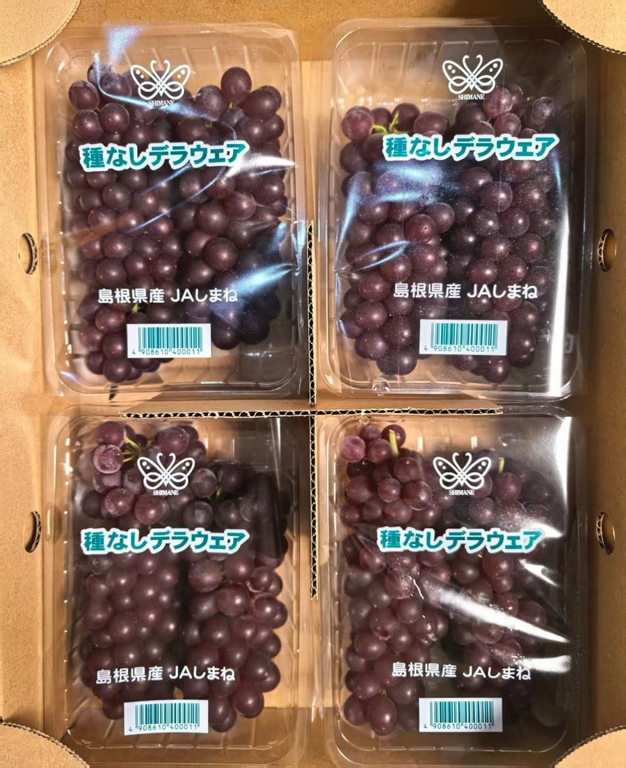 岛根德拉瓦葡萄 Shimane Delaware Grapes