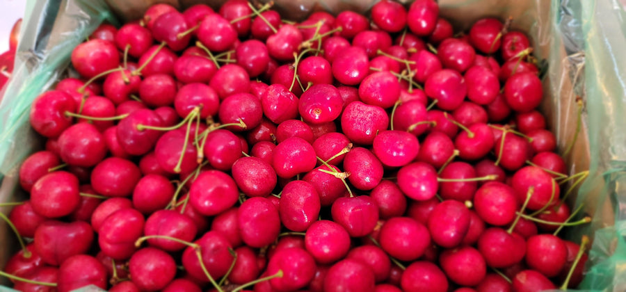 Red Cherry