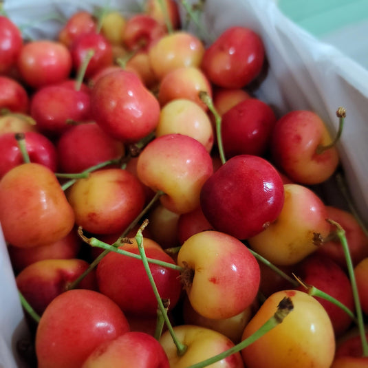 White Cherry (Rainer/Skylar) - 500g Heng Fruits