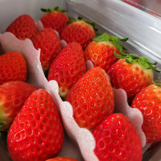 Strawberry - South Korea Heng Fruits