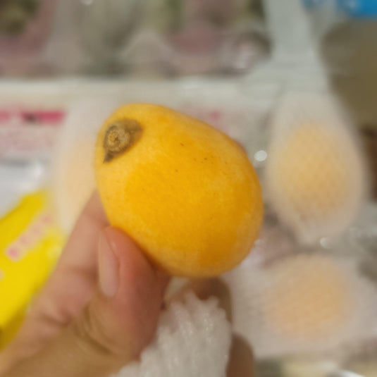 Loquat - Pipah Heng Fruits