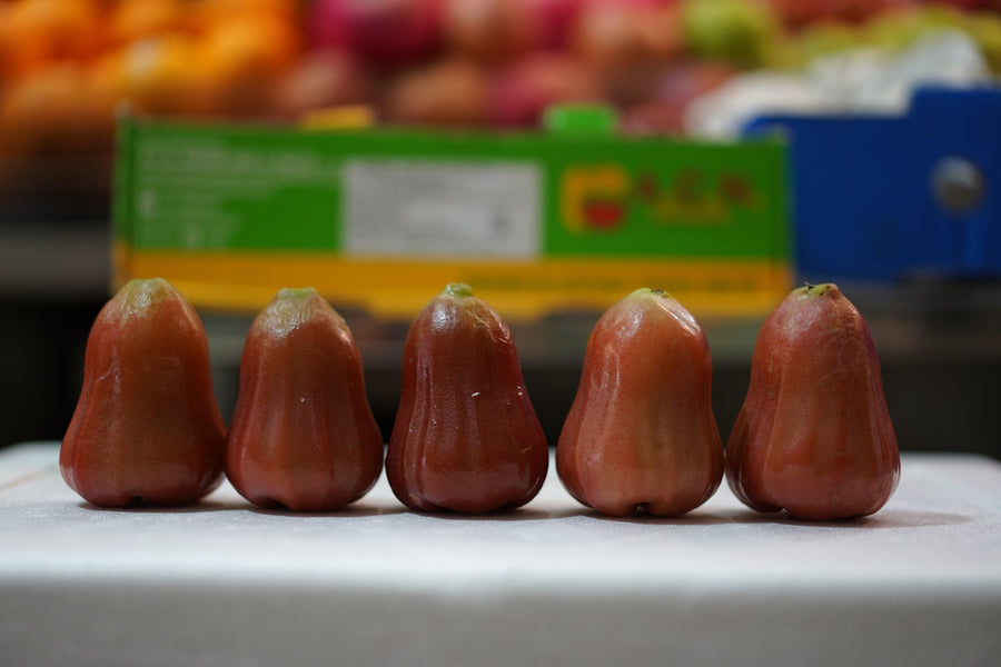 Jambu Water Rose Apple 水翁