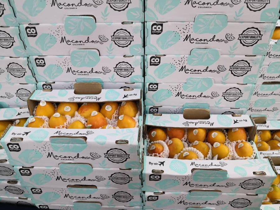Baby Mango Colombia