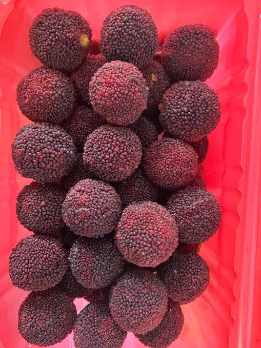 Abatus / Bay Berries - 杨梅 Heng Fruits
