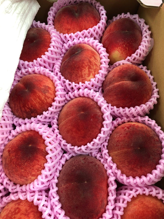 Peach(Yamanashi, Japan) Heng Fruits