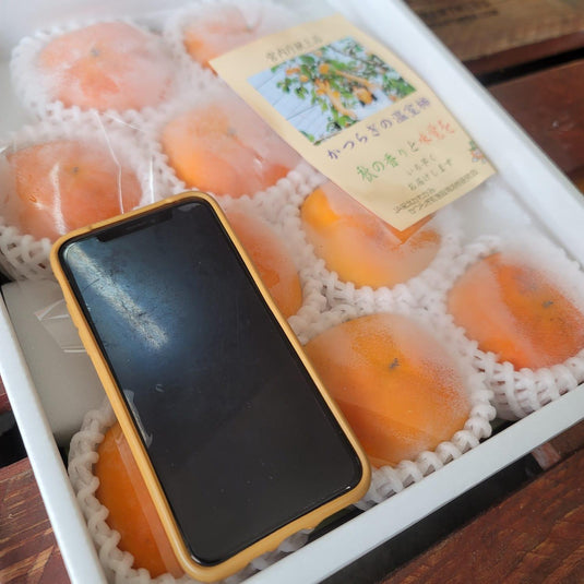 Persimmon - To-Ne とね(Japan) Heng Fruits