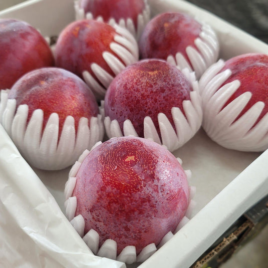 Premium Plum (贵阳) - Japan Heng Fruits