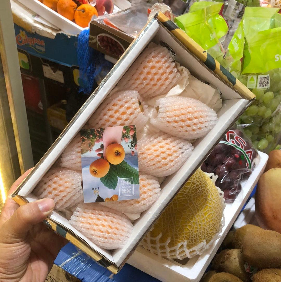 Pipah Loquat