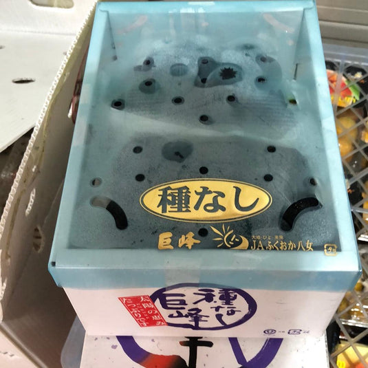 Grapes (Japan) - Kyoho 巨峰 Heng Fruits