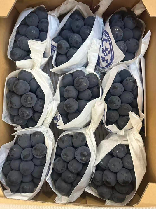 福冈ピオーネ葡萄 Fukuoka Pione Grapes 5kg | Premium Japanese Black Grapes from Fukuoka | Heng Fruits Singapore