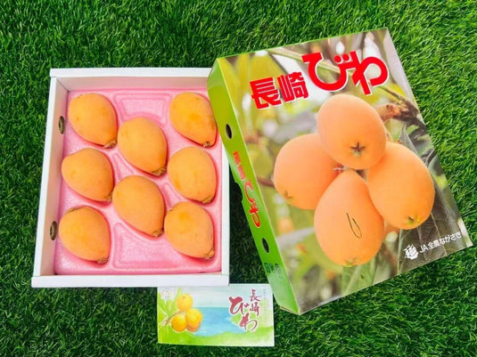 长崎枇杷礼盒 Nagasaki Biwa Loquat Gift Box 500g | Premium Japanese Loquat from Nagasaki | Heng Fruits Singapore