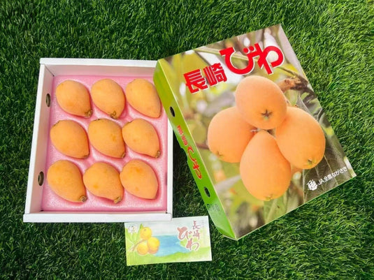长崎枇杷礼盒 Nagasaki Biwa Loquat Gift Box 500g 3L | Premium Japanese Loquat from Nagasaki | Heng Fruits Singapore