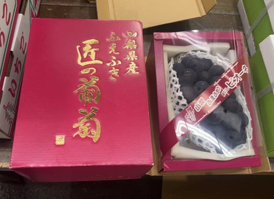 山梨Pione匠之葡萄礼盒 Yamanashi Pione Takumi Grapes Gift Box 700g | Premium Japanese Pione Grapes from Yamanashi | Heng Fruits Singapore