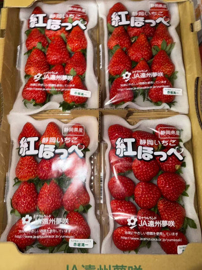 静冈红颊草莓 Shizuoka Benihoppe Strawberry