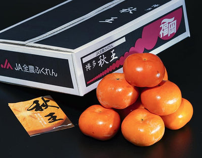 福冈秋王柿 Fukuoka Akiou Persimmon