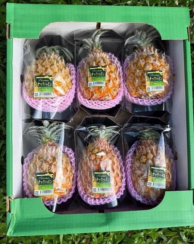 冲绳零食菠萝 Okinawa Snack Pineapple
