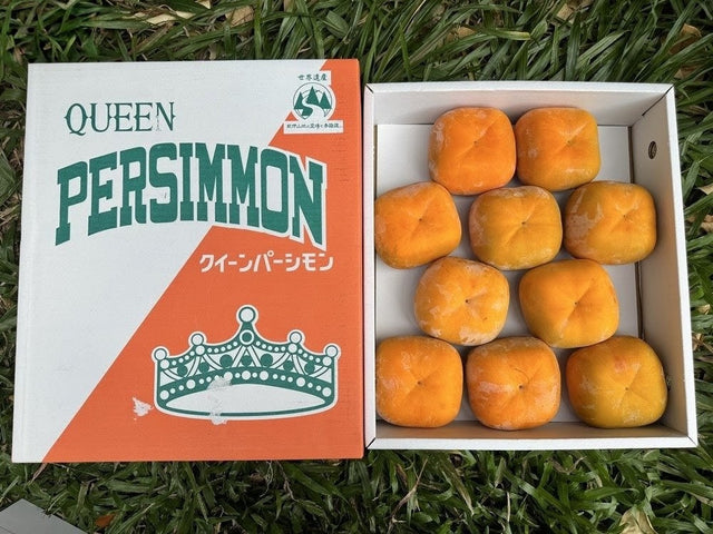 和歌山女王柿 Wakayama Queen Persimmon